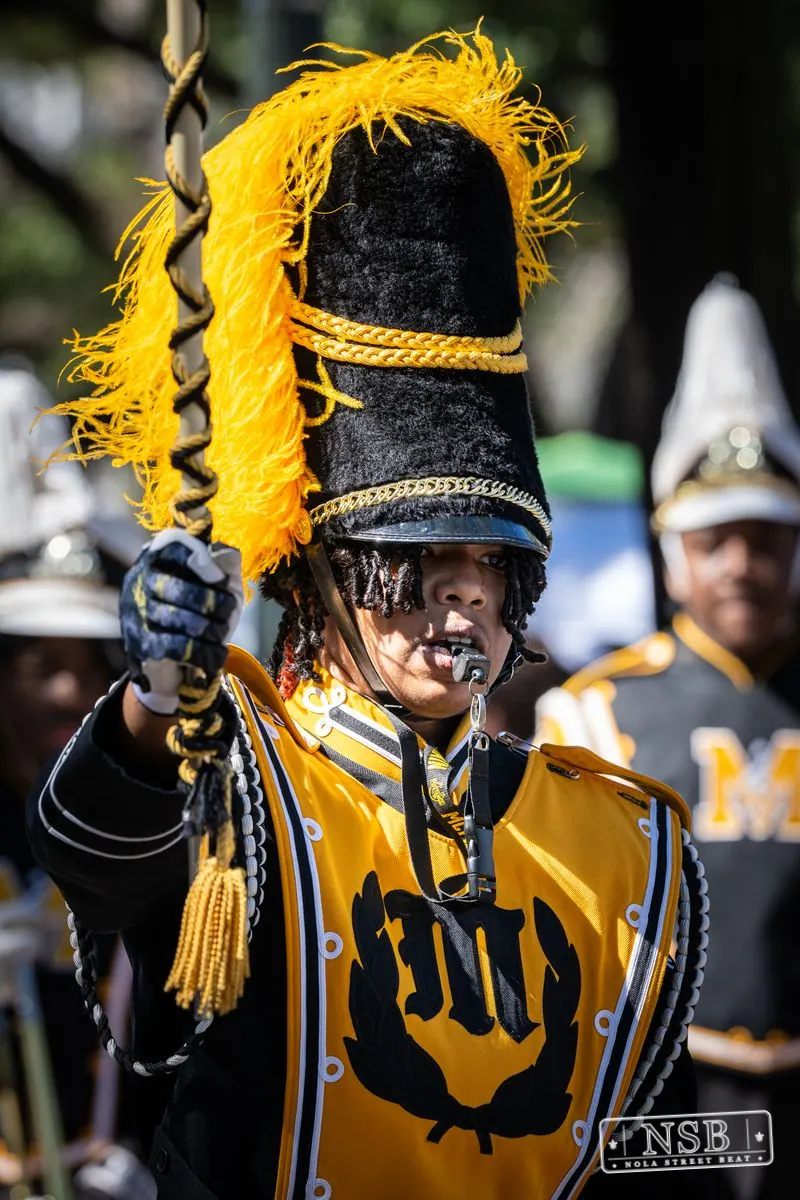 Krewe of Pontchartrain in Uptown New Orleans, photo 15