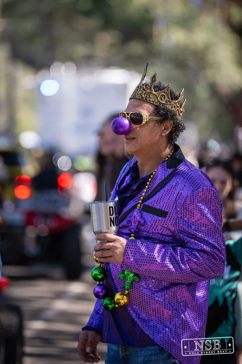 Krewe of Pontchartrain in Uptown New Orleans, photo 16