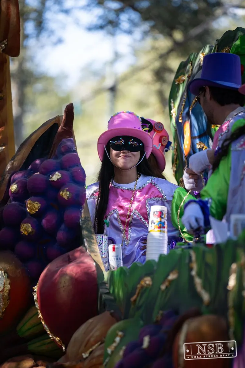 Krewe of Pontchartrain in Uptown New Orleans, photo 18