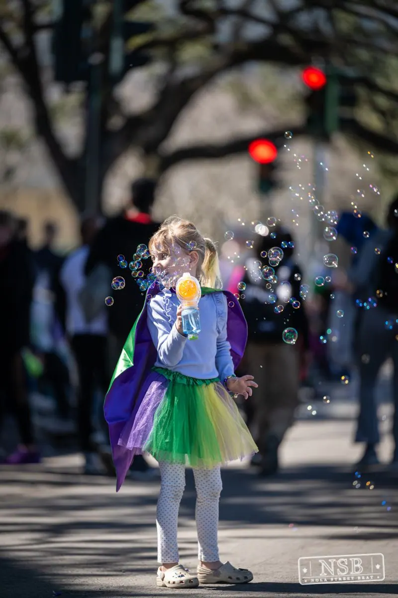 Krewe of Pontchartrain in Uptown New Orleans, photo 19