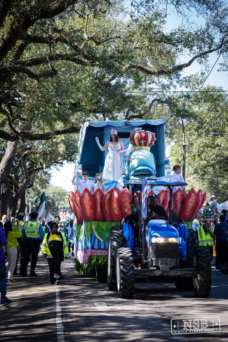 Krewe of Pontchartrain in Uptown New Orleans, photo 27