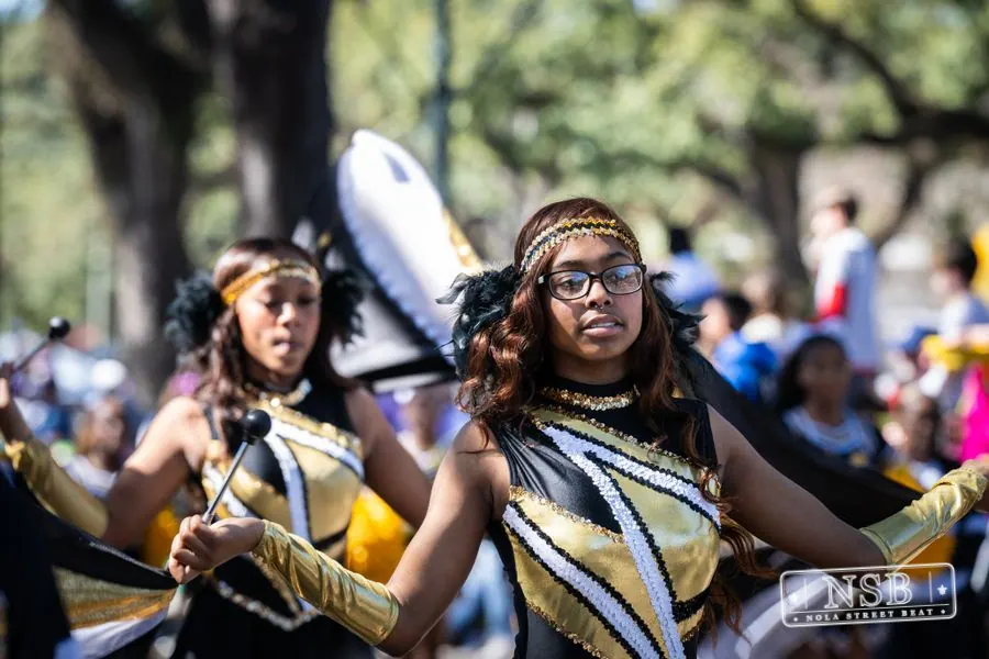 Krewe of Pontchartrain in Uptown New Orleans, photo 30
