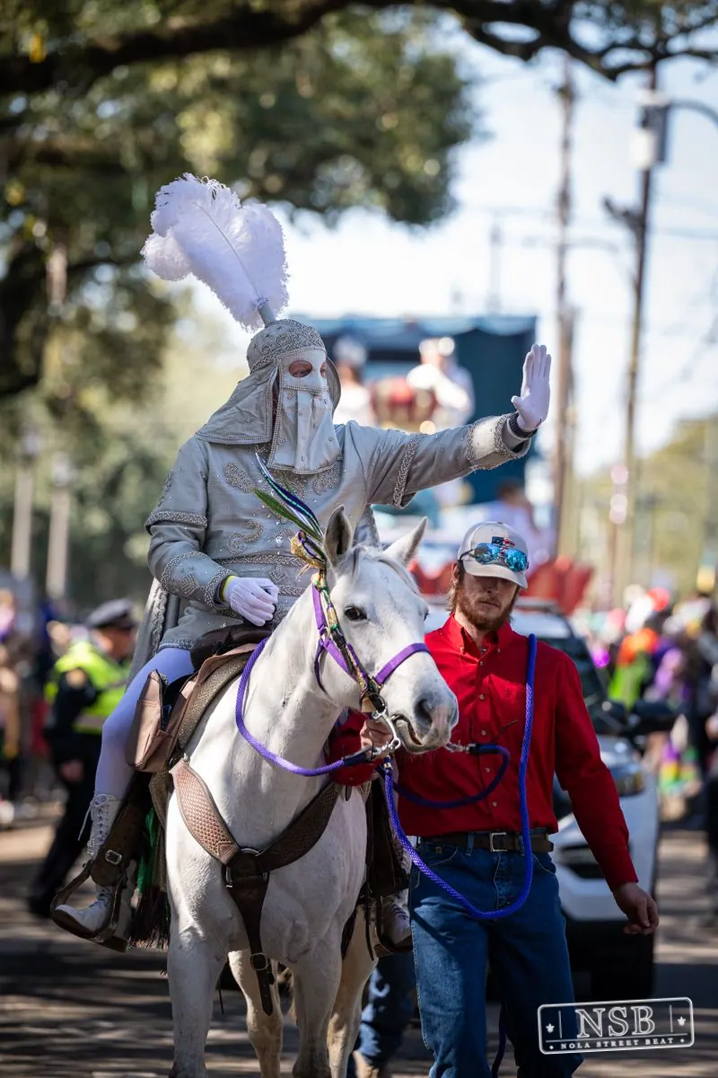 Krewe of Pontchartrain in Uptown New Orleans, photo 31