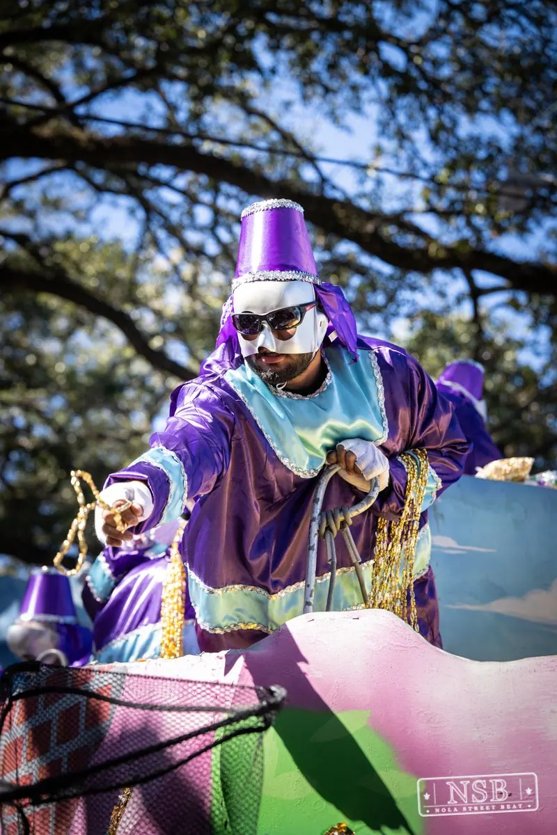 Krewe of Pontchartrain in Uptown New Orleans, photo 36