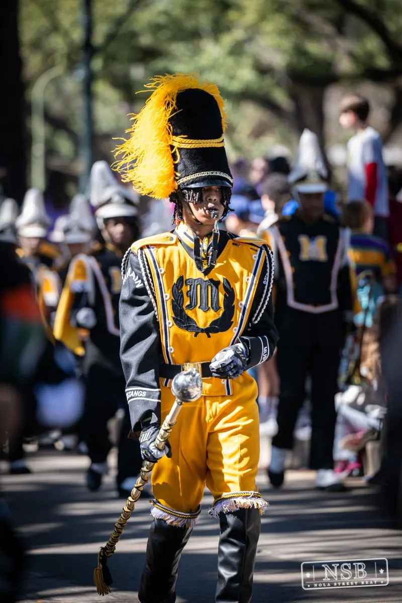 Krewe of Pontchartrain in Uptown New Orleans, photo 38