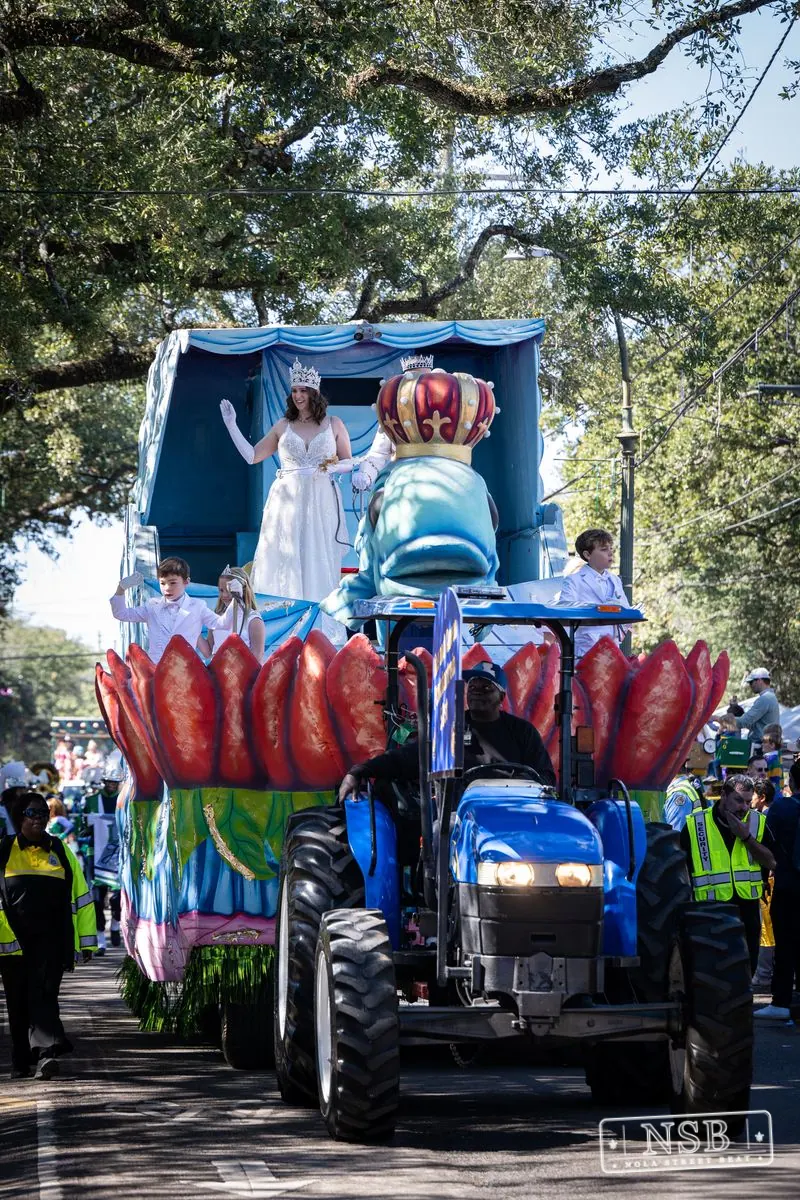 Krewe of Pontchartrain in Uptown New Orleans, photo 51