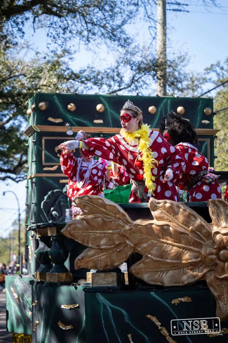 Krewe of Pontchartrain in Uptown New Orleans, photo 53