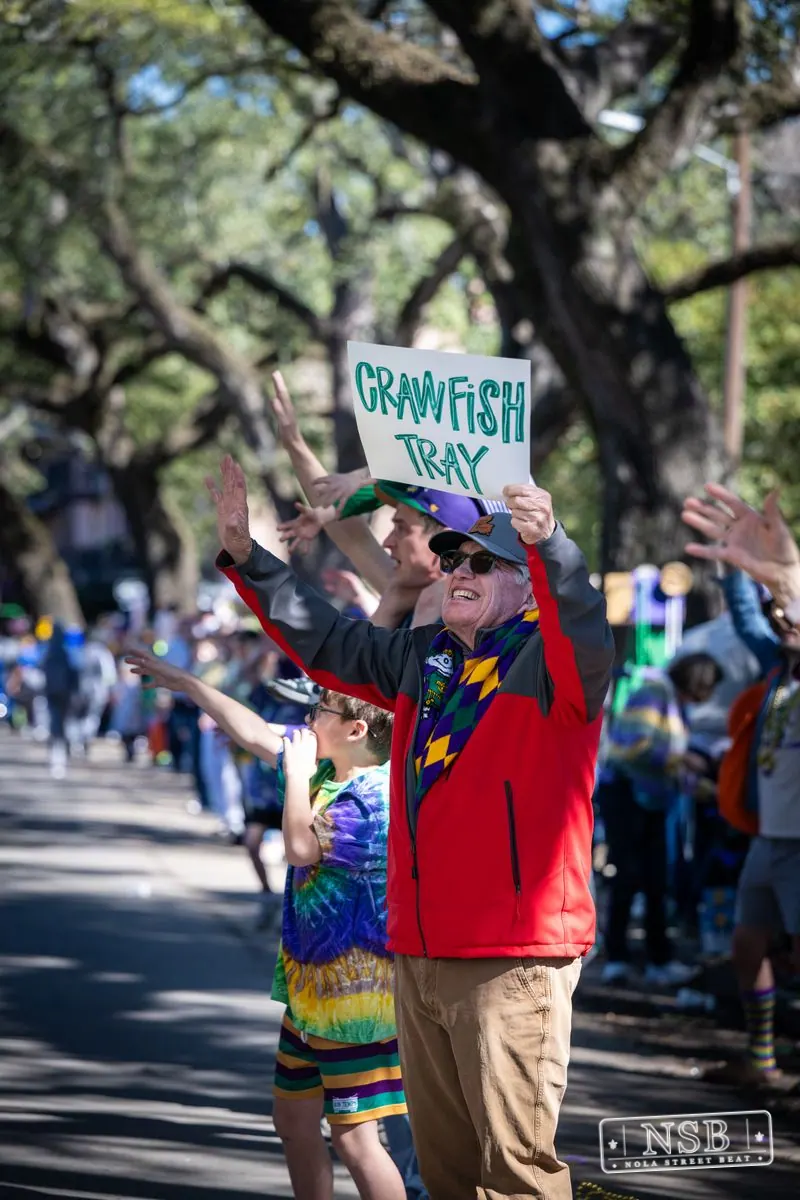 Krewe of Pontchartrain in Uptown New Orleans, photo 70