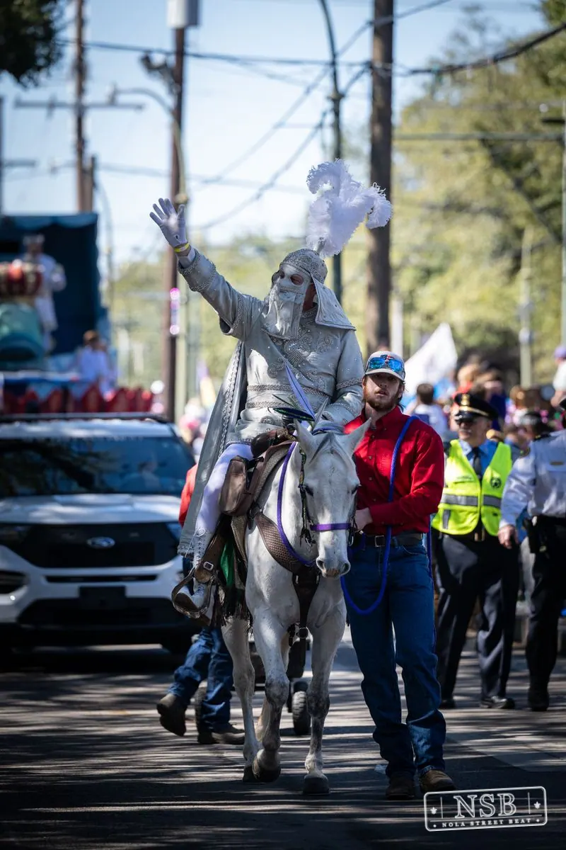 Krewe of Pontchartrain in Uptown New Orleans, photo 108