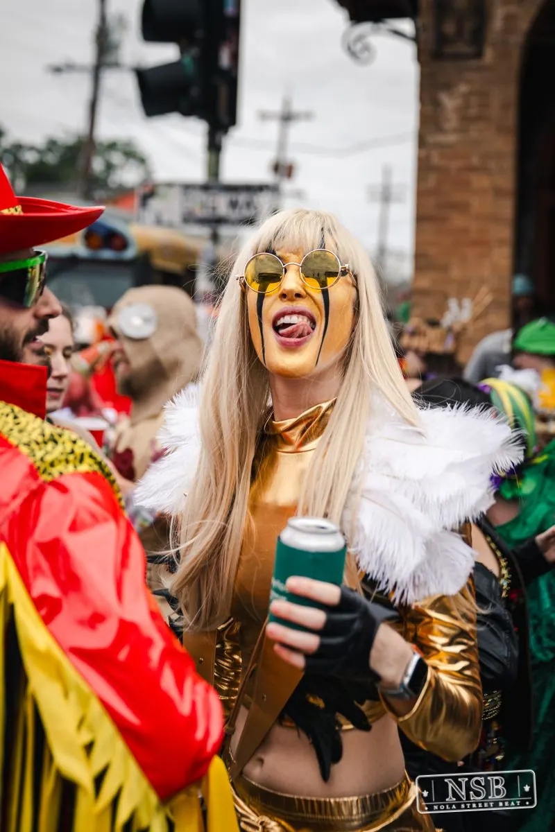 Mardi Gras Day: Marigny Street Costumes in Faubourg Marigny, New Orleans, photo 6