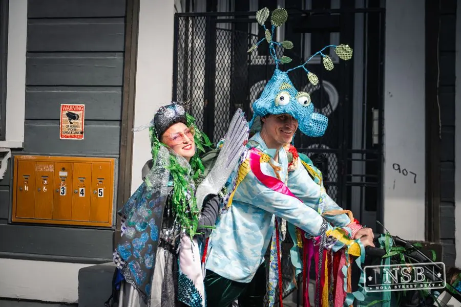 Mardi Gras Day: Marigny Street Costumes in Faubourg Marigny, New Orleans, photo 9