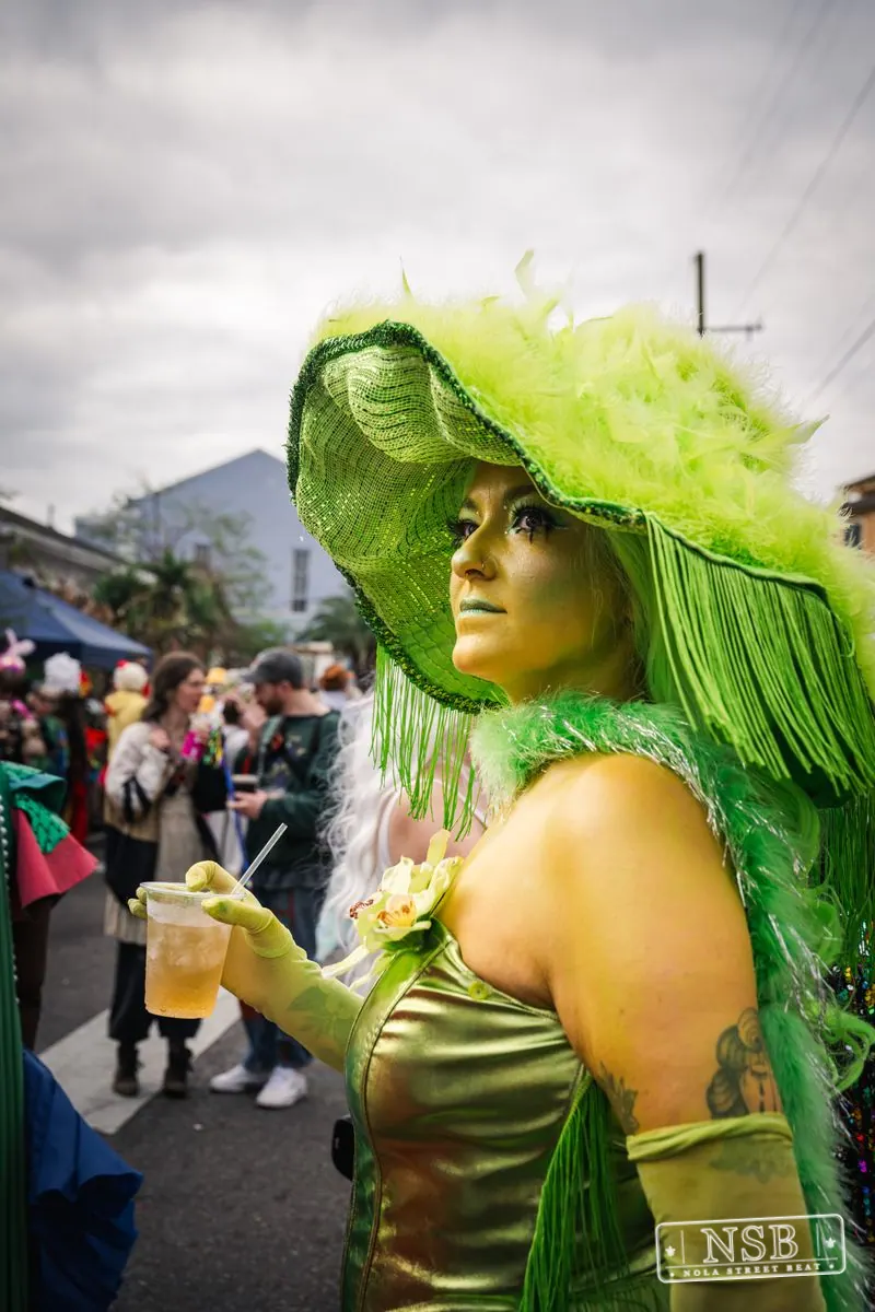 Mardi Gras Day: Marigny Street Costumes in Faubourg Marigny, New Orleans, photo 14
