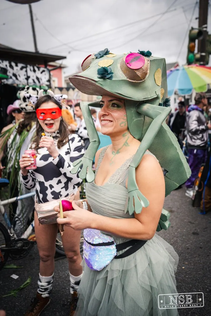 Mardi Gras Day: Marigny Street Costumes in Faubourg Marigny, New Orleans, photo 18