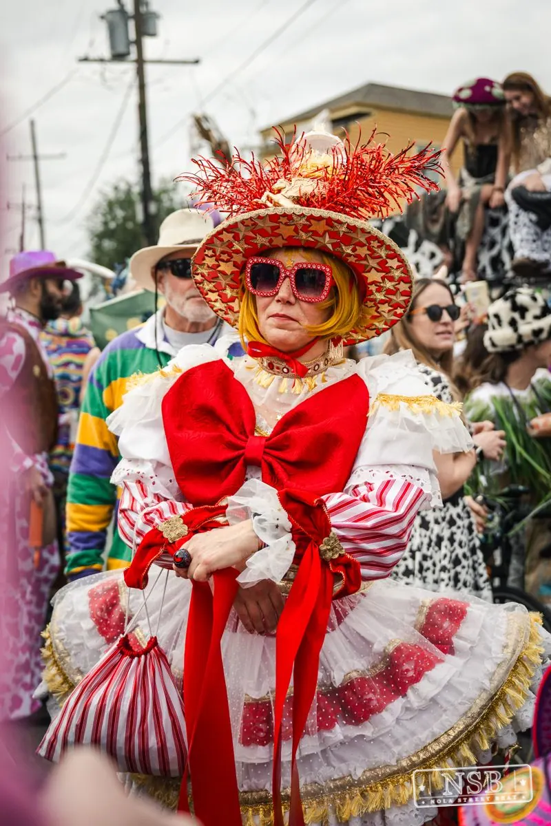 Mardi Gras Day: Marigny Street Costumes in Faubourg Marigny, New Orleans, photo 33