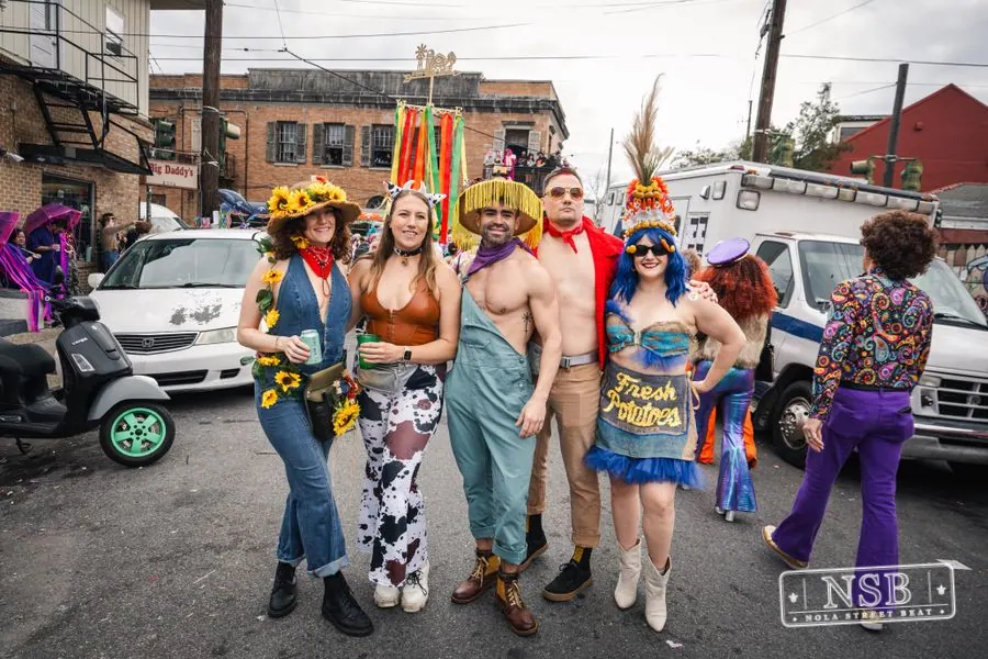 Mardi Gras Day: Marigny Street Costumes in Faubourg Marigny, New Orleans, photo 35