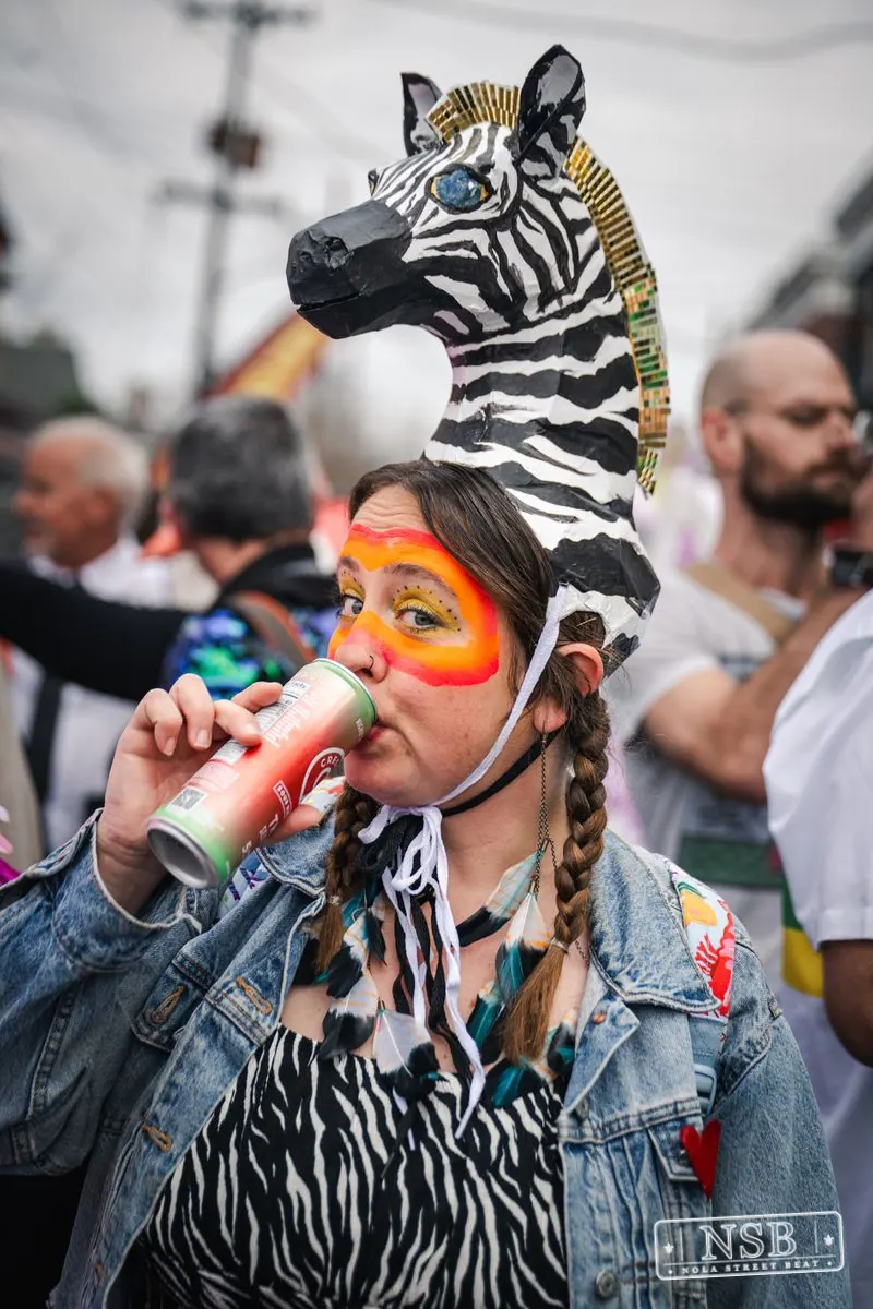 Mardi Gras Day: Marigny Street Costumes in Faubourg Marigny, New Orleans, photo 40