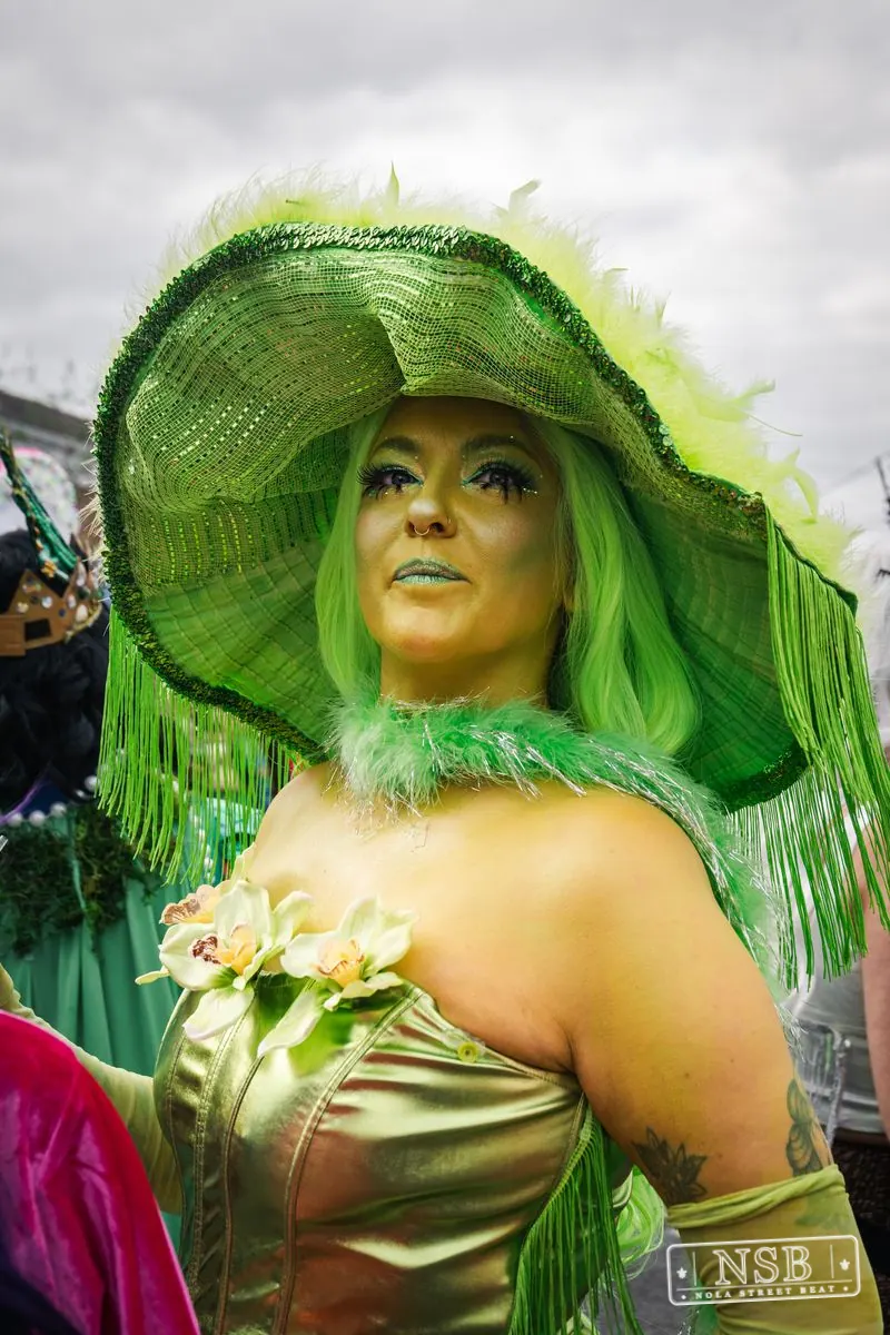 Mardi Gras Day: Marigny Street Costumes in Faubourg Marigny, New Orleans, photo 41