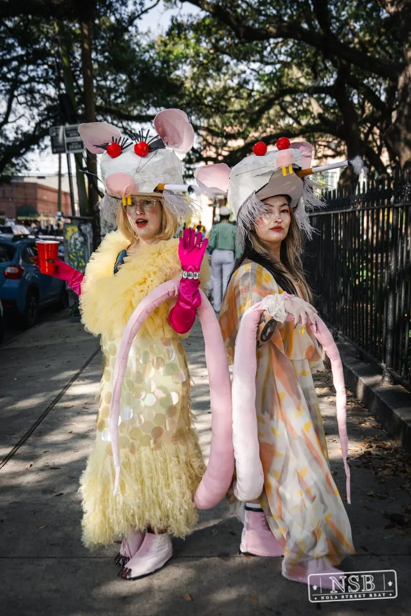 Mardi Gras Day: Marigny Street Costumes in Faubourg Marigny, New Orleans, photo 57