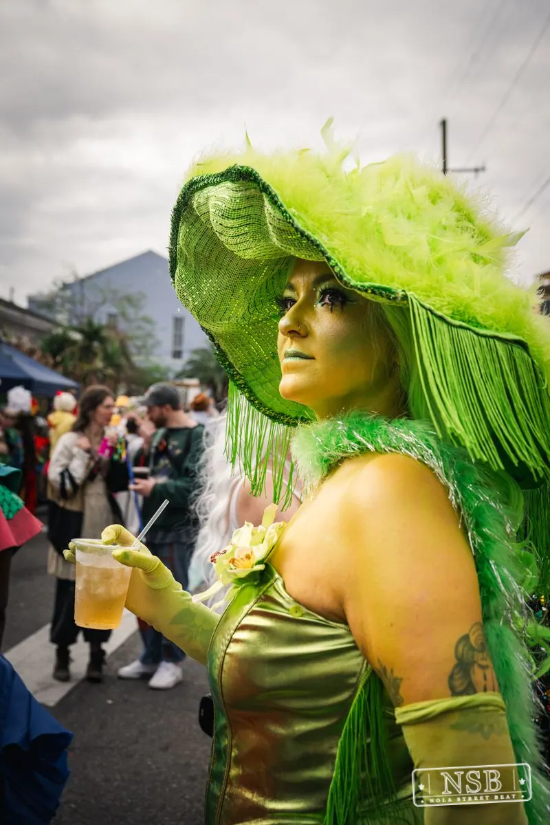 Mardi Gras Day: Marigny Street Costumes in Faubourg Marigny, New Orleans, photo 58