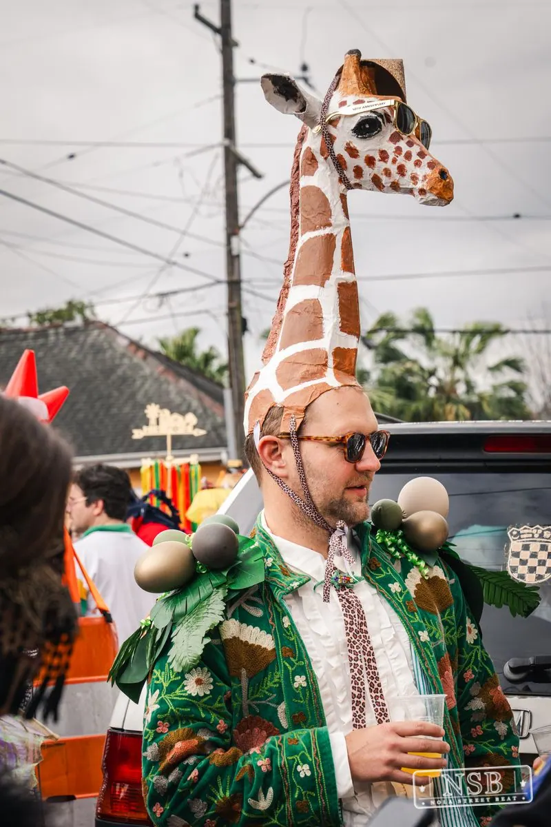 Mardi Gras Day: Marigny Street Costumes in Faubourg Marigny, New Orleans, photo 76