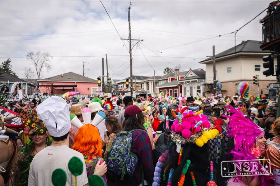 Mardi Gras Day: Marigny Street Costumes in Faubourg Marigny, New Orleans, photo 87