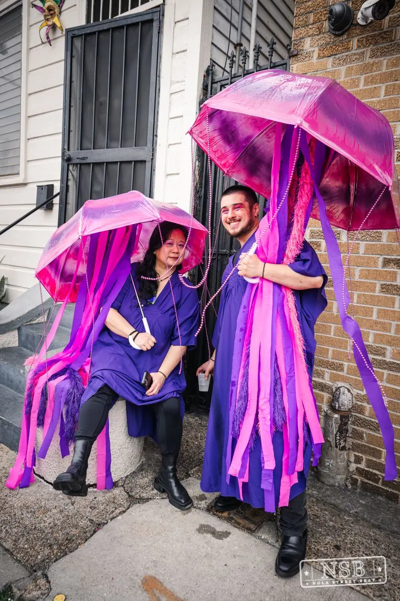 Mardi Gras Day: Marigny Street Costumes in Faubourg Marigny, New Orleans, photo 90