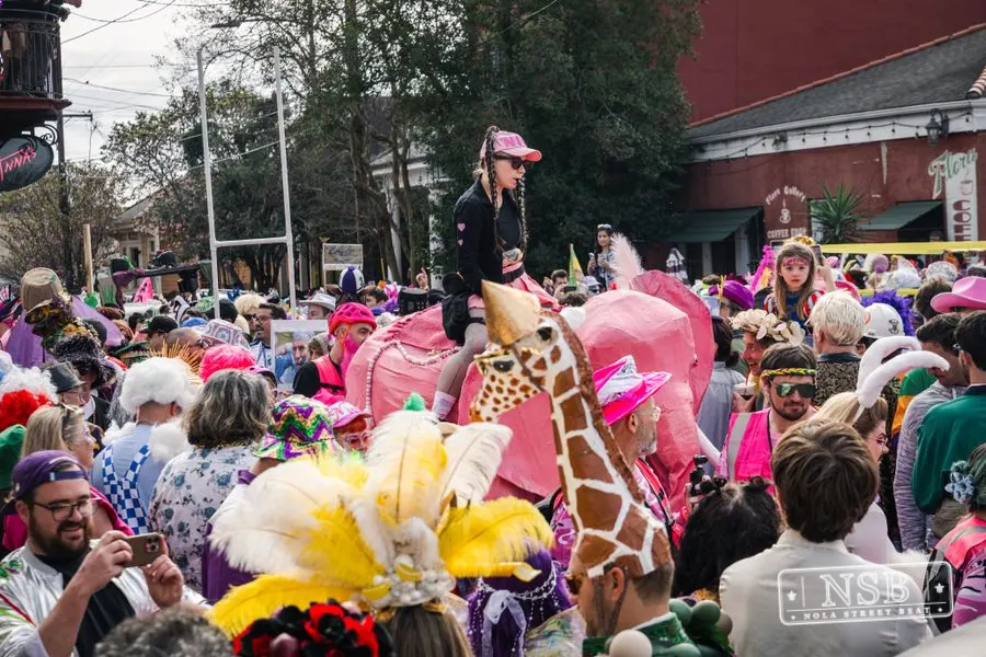 Mardi Gras Day: Marigny Street Costumes in Faubourg Marigny, New Orleans, photo 91