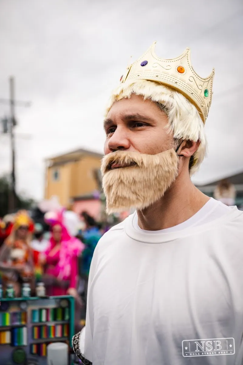 Mardi Gras Day: Marigny Street Costumes in Faubourg Marigny, New Orleans, photo 92