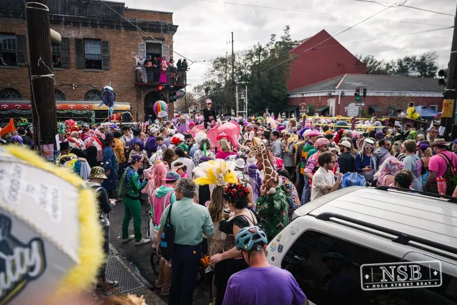 Mardi Gras Day: Marigny Street Costumes in Faubourg Marigny, New Orleans, photo 94