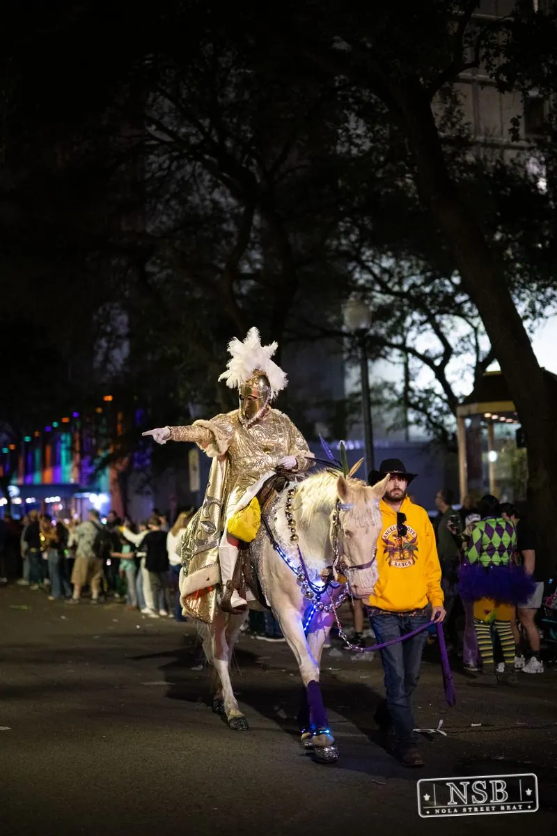 Knights of Sparta & Krewe of Pygmalion in Uptown New Orleans, photo 18