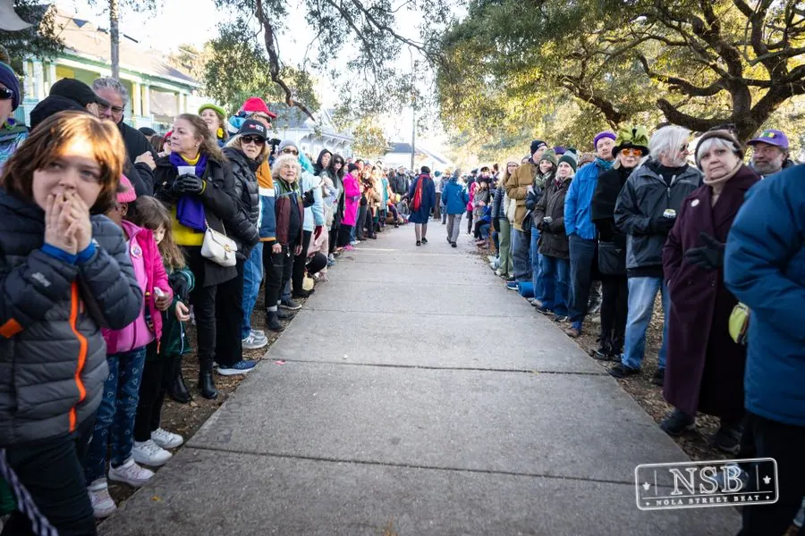 ’tit Rəx Parade in New Orleans, Louisiana, photo 12