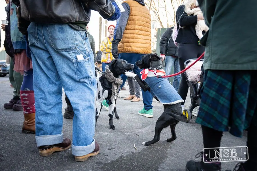 ’tit Rəx Parade in New Orleans, Louisiana, photo 20