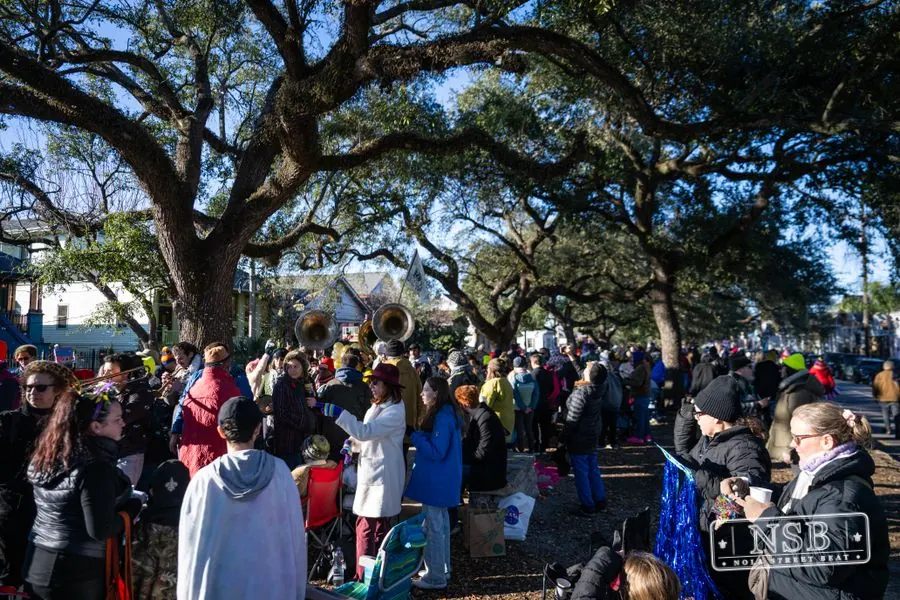 ’tit Rəx Parade in New Orleans, Louisiana, photo 21