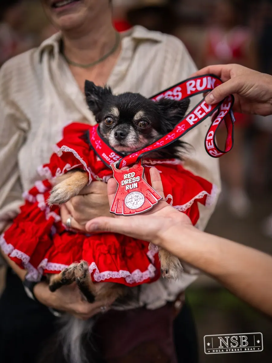 Red Dress Run 2026: The Morning Run in New Orleans, Louisiana, photo 39
